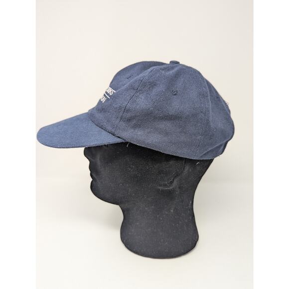 Vintage DreamWorks SKG Television Animation Blue Hat Strap Y2K - Picture 3 of 8